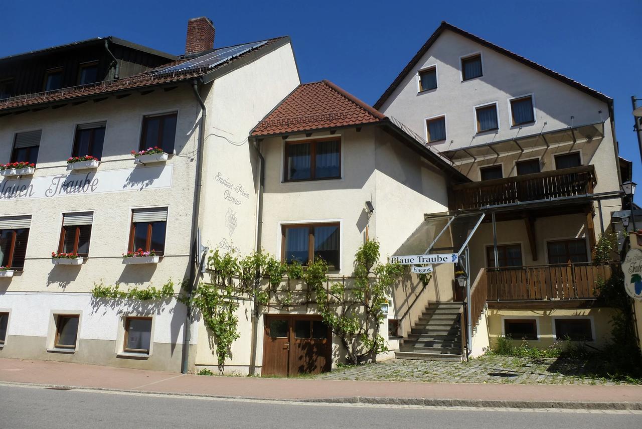 Blaue Traube Hotel Gebenbach Bagian luar foto